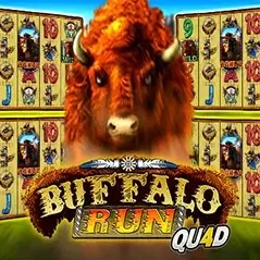 Buffalo Run Quad